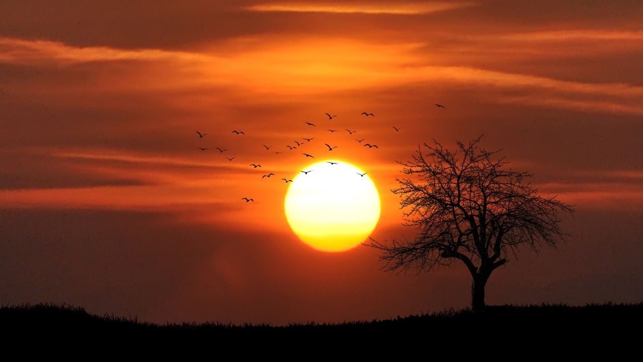 Nature Sunset Zoom Virtual Background